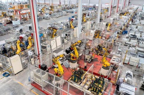 向未來(lái)奮進(jìn) 從全國(guó)兩會(huì)看關(guān)鍵一年中鄭州軟件開發(fā)的機(jī)遇與挑戰(zhàn)